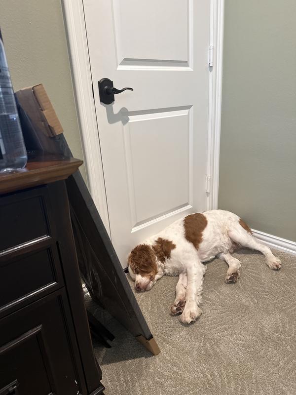 Very quiet.  My dog never woke op