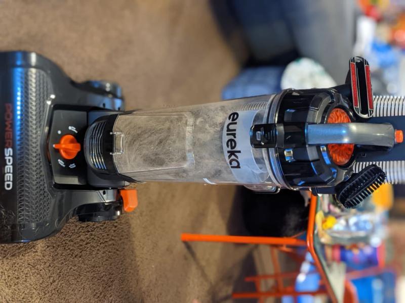 One room of lots of cat and dog fur!