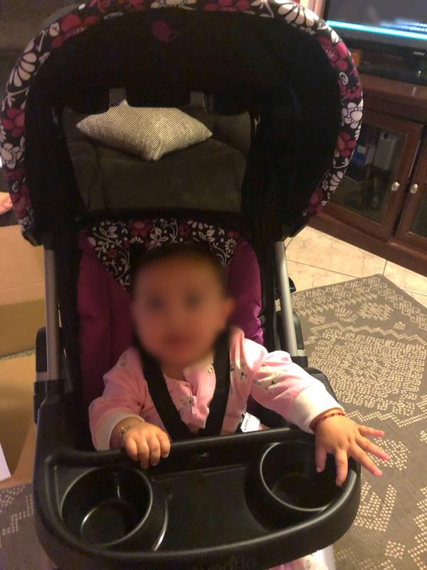 evenflo vive travel system with embrace spearmint spree