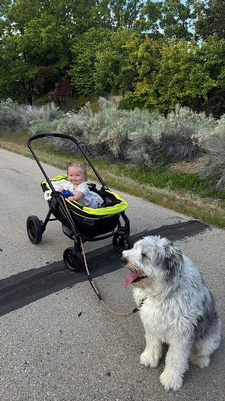 Photo - commentaire 2.