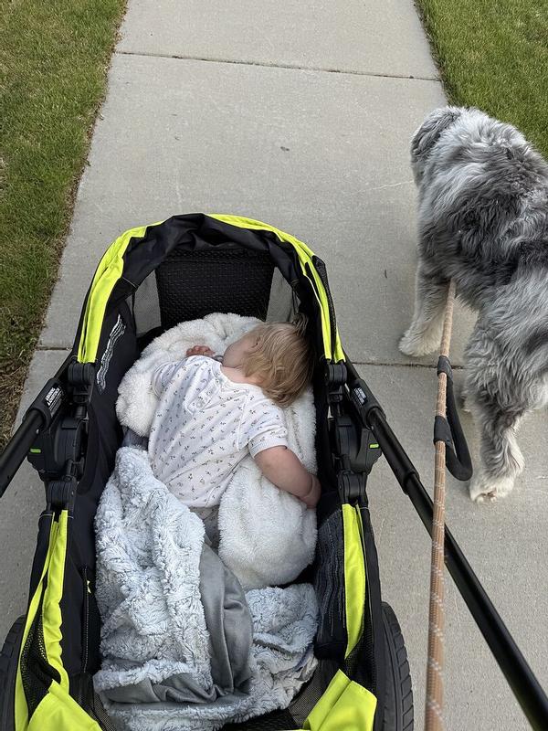 Photo - commentaire 3.