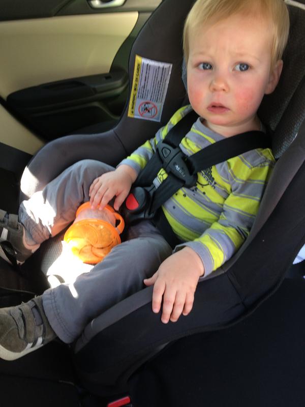 Straps adjust easily, but no shoulder pads. Average sized 20 month old at/past height limit.