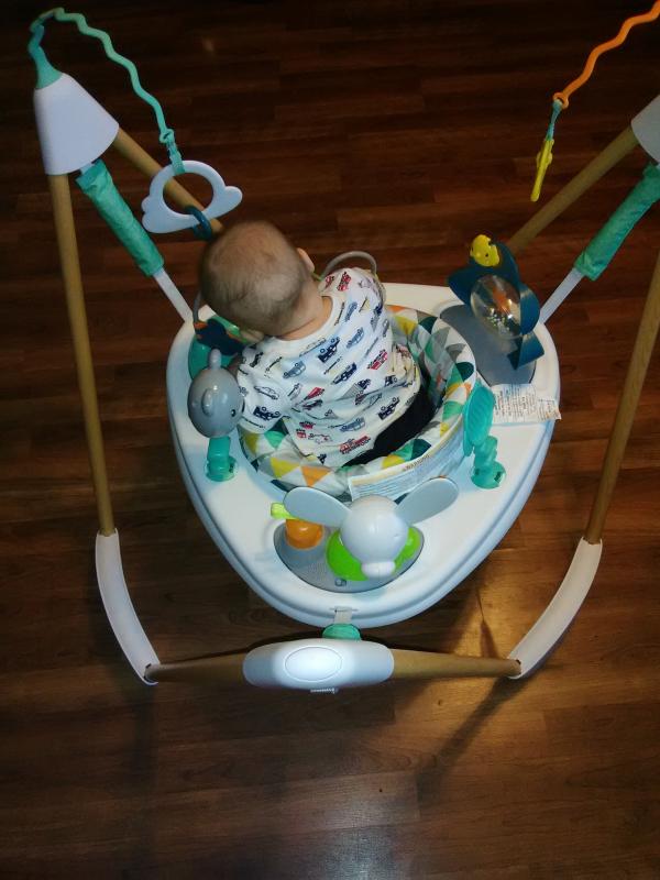 exersaucer woodland wonder frame jumper