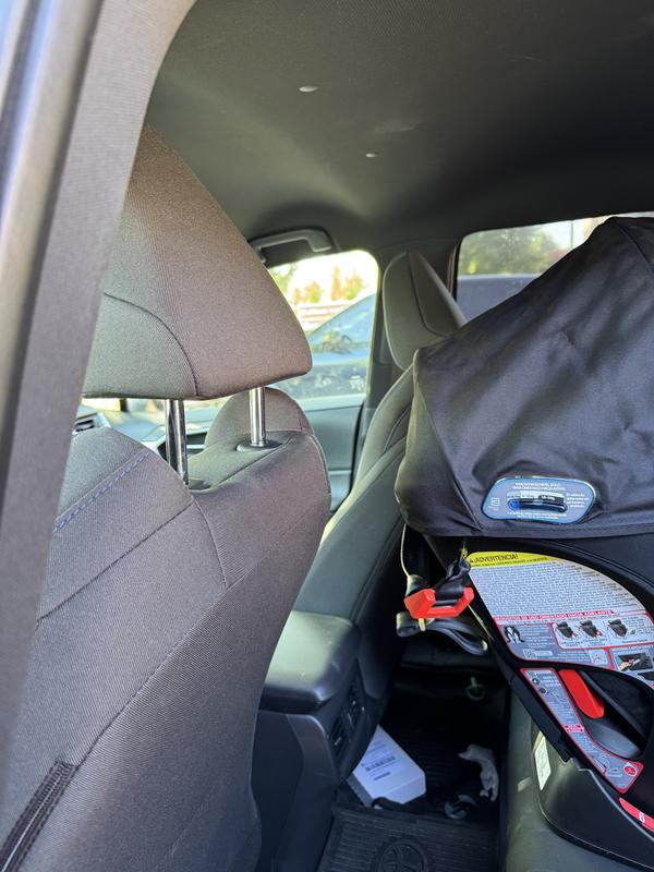 Photo - commentaire 2.