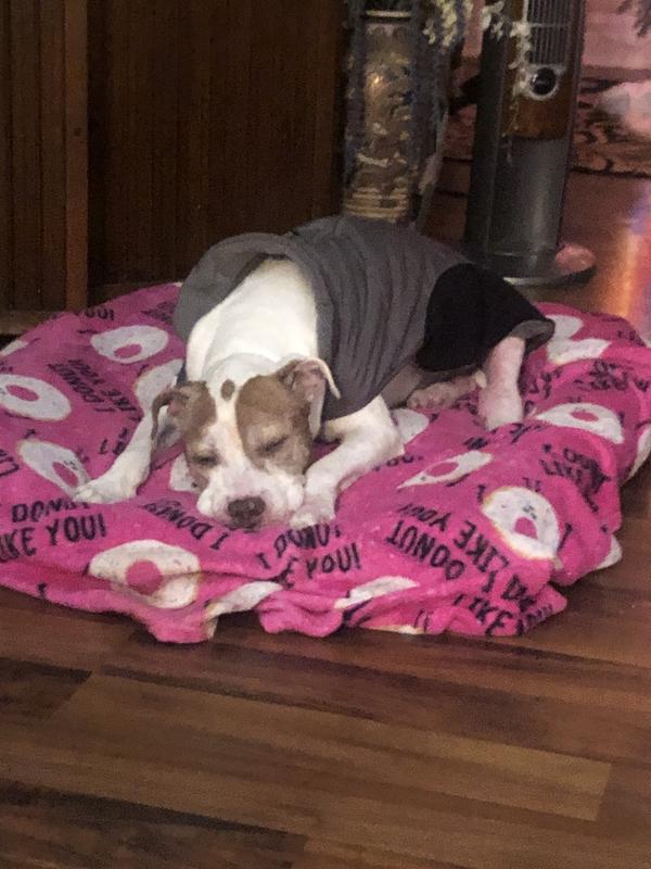 13 yrs old Bella