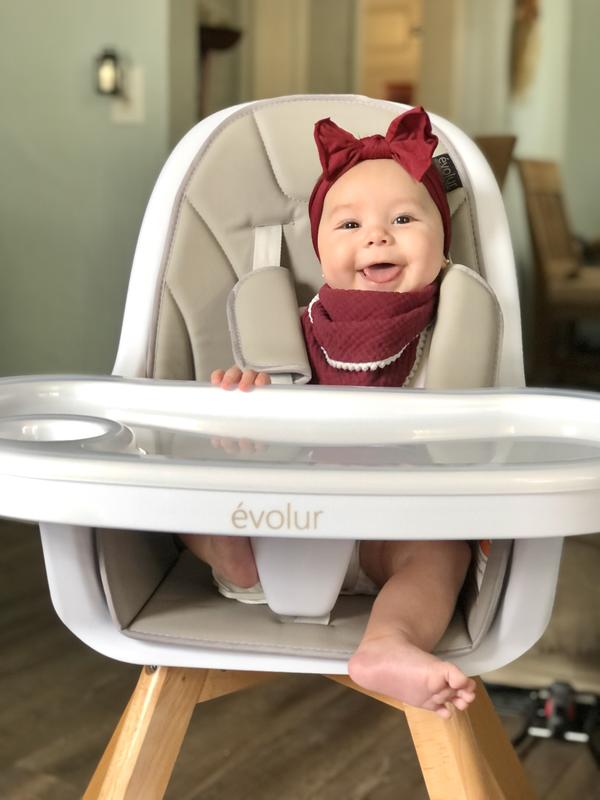 Zoodle 3 in 1 High Chair Evolur