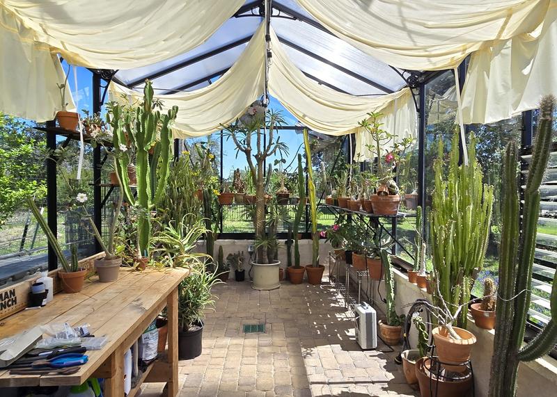 Exaco Royal Victorian 12.5 ft. x 20 ft. Greenhouse VI 46 PP6L