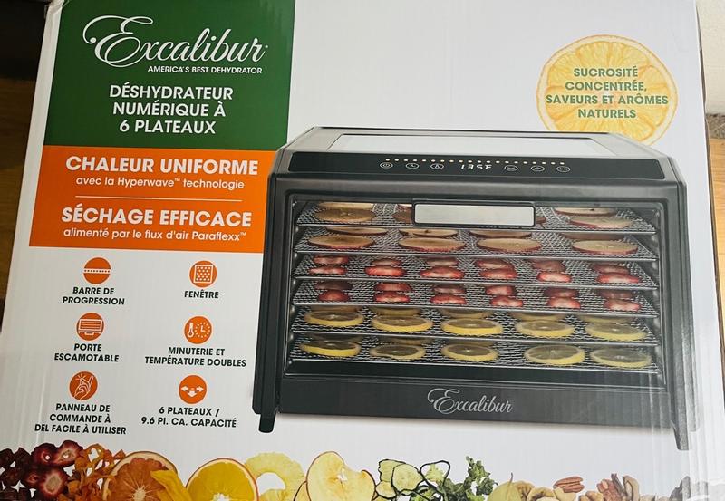 Excalibur 6 Tray Performance Digital Dehydrator, in Stainless