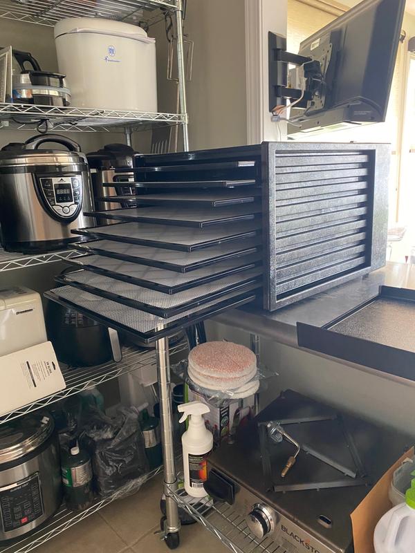 Photo - commentaire 7.