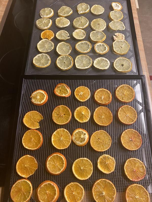 Photo - commentaire 5.