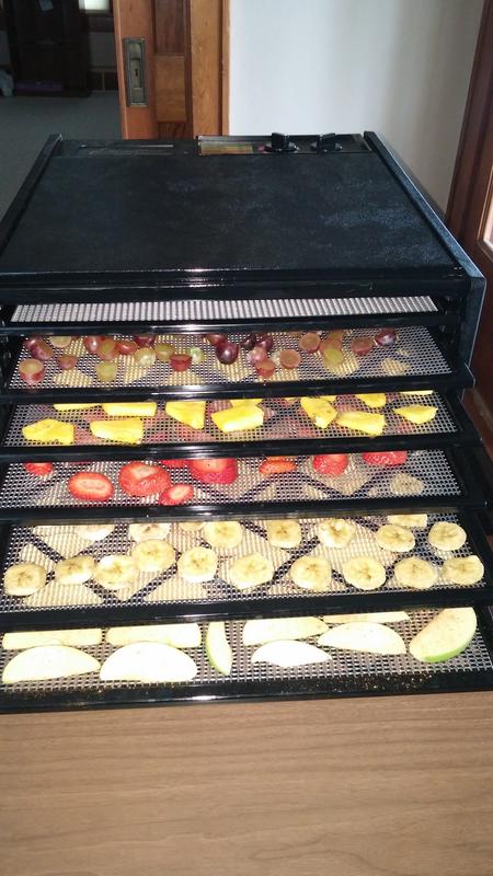 Fruit Dehydrating