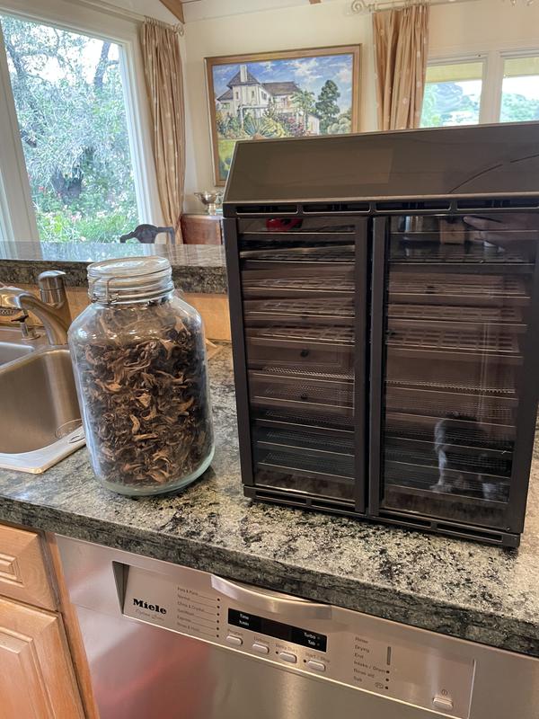 Photo - commentaire&nbsp;1.