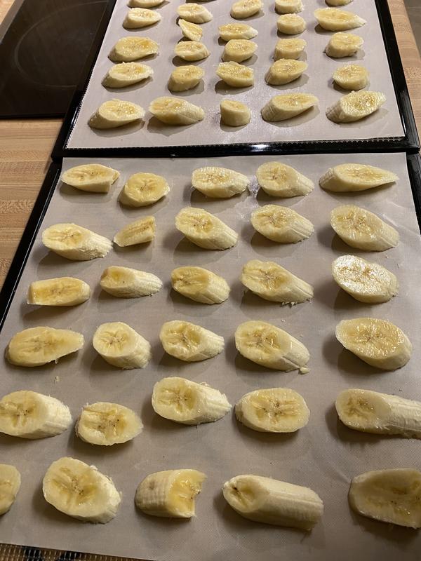 Photo - commentaire 2.