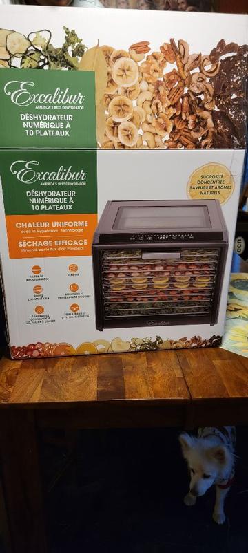 Excalibur 10 Tray Commercial Food Dehydrator with Two 99-Hour Timers, –  Edgecraft