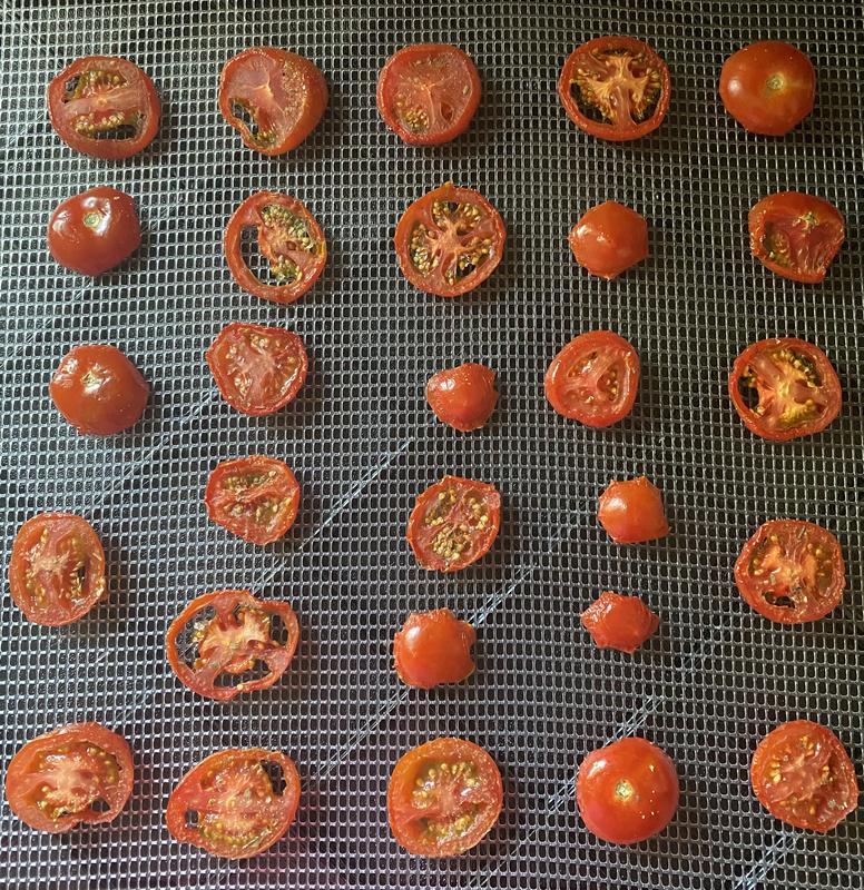 Photo - commentaire 6.