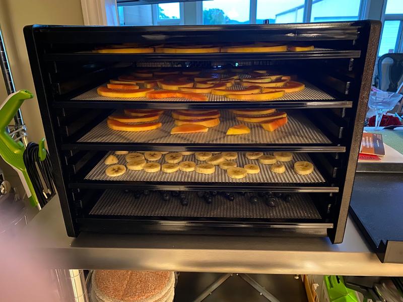 Photo - commentaire 8.