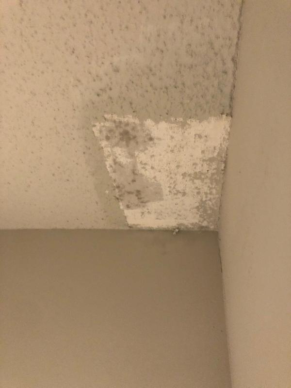 Popcorn Ceiling Removal Tool Lowes Shelly Lighting