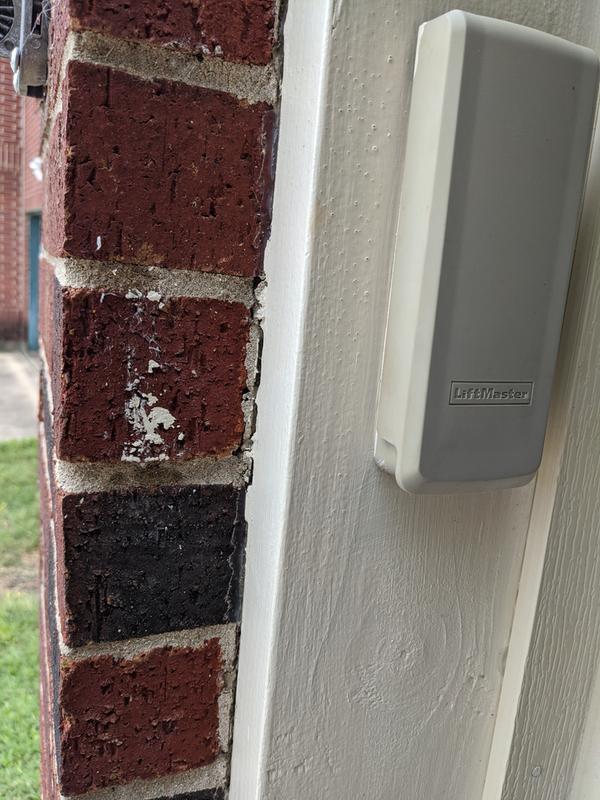 Before soaking in solution