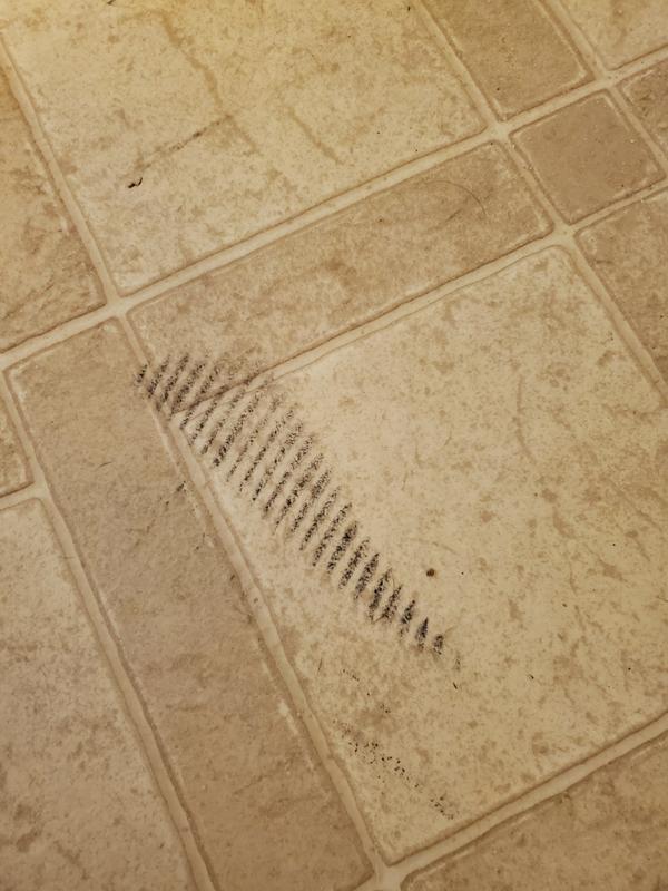 Before picture of the mark I wanted to remove from my floor.