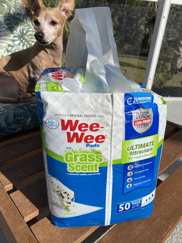 Grass scented pee clearance pads