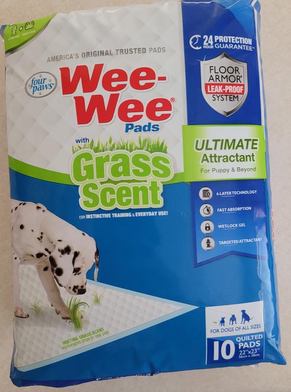 Grass scented best sale puppy pads