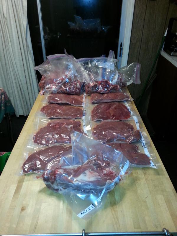 Photo - commentaire 1.