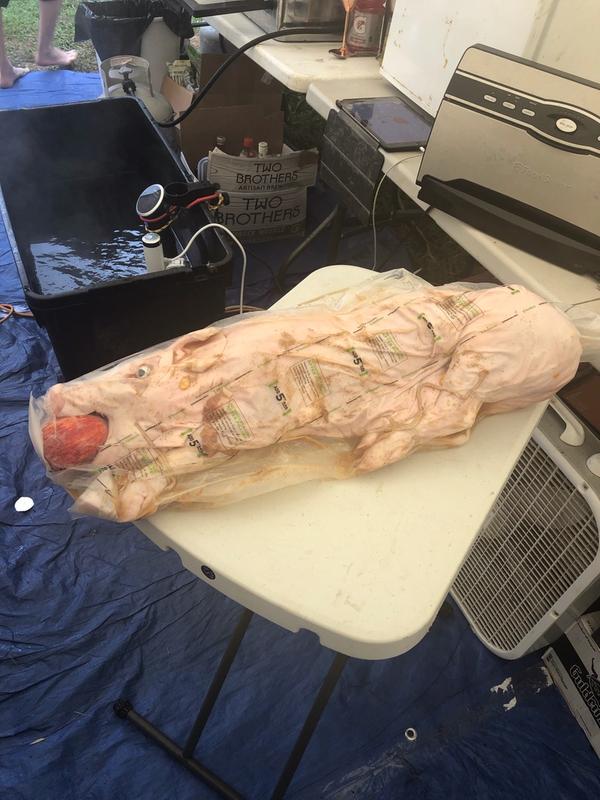 Suckling pig inside the expandable bag.