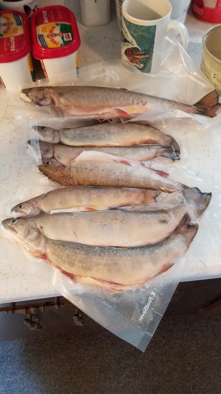 Photo - commentaire 3.