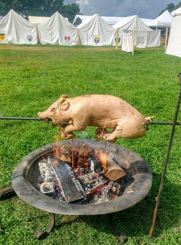 Out of the bag and on the spit