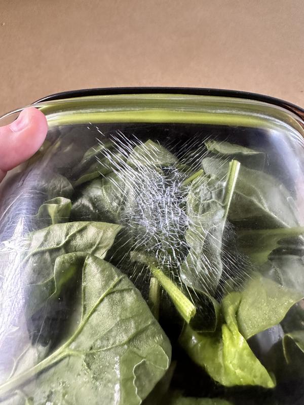 Not sturdy or quality