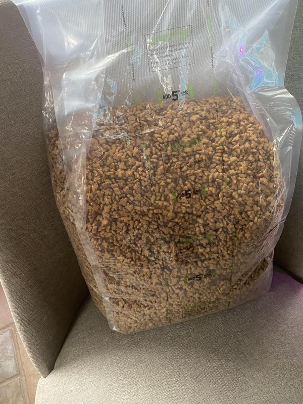 Photo - commentaire&nbsp;1.