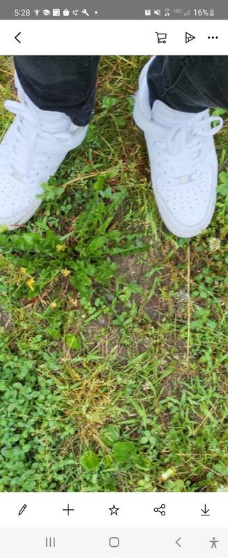 Photo submitted with review of product