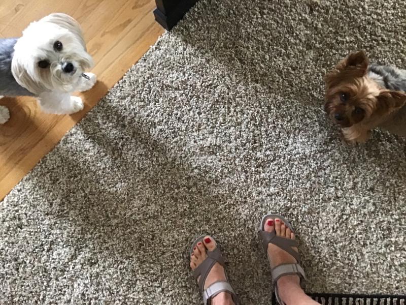 My girls that I walk daily in my Baretraps!!!!