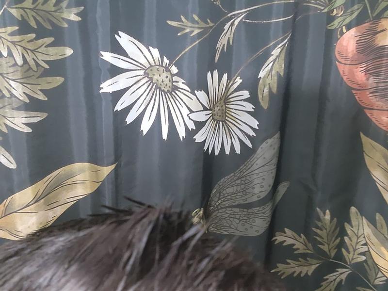 Review Thumbnail Image 0 373694268