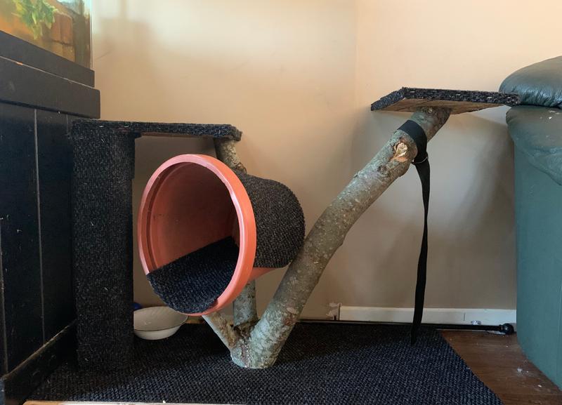 Cat tree I made with them :)