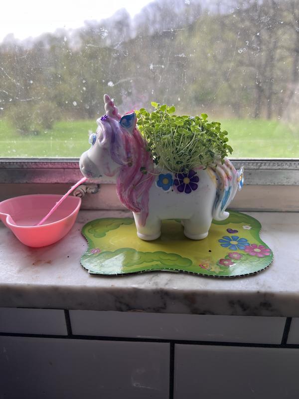 Kids Garden Craft: Self Watering Plant Pet Unicorn – Faber-Castell USA