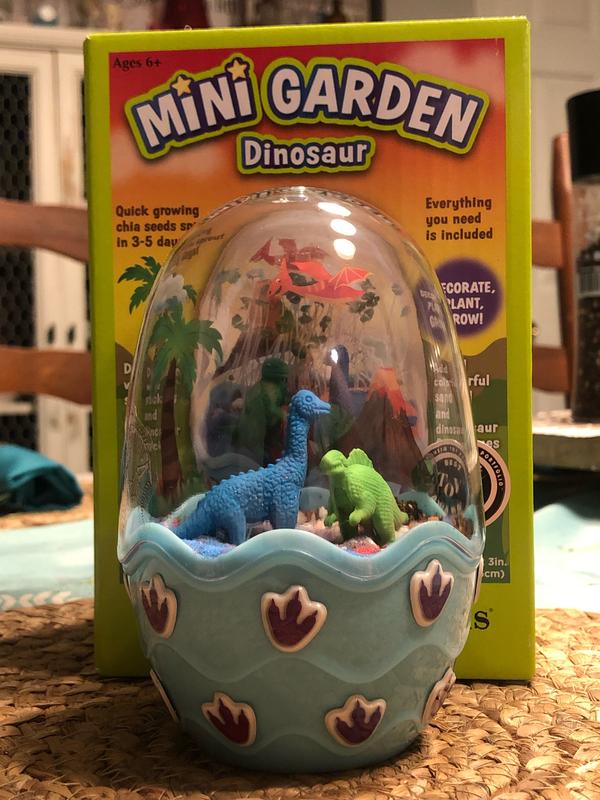 Dinosaur Mini Garden Dinosaur Mini Garden