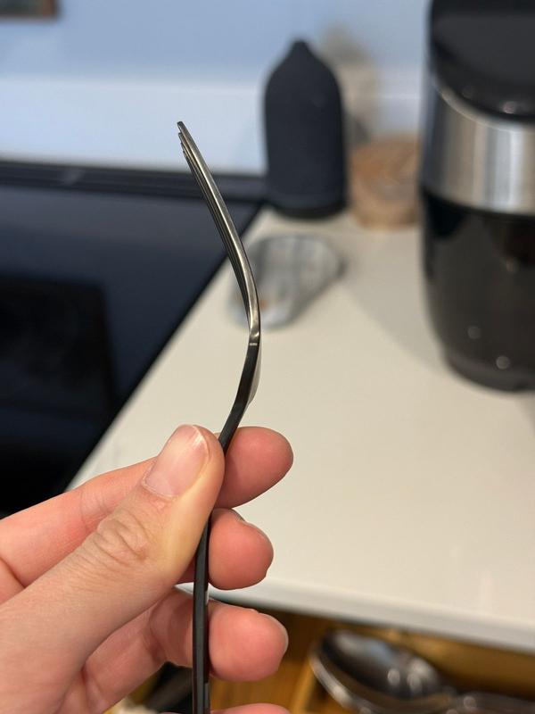 Review Thumbnail Image 1 384816664