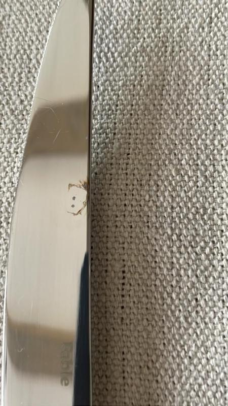 Knives don't stand up to washing