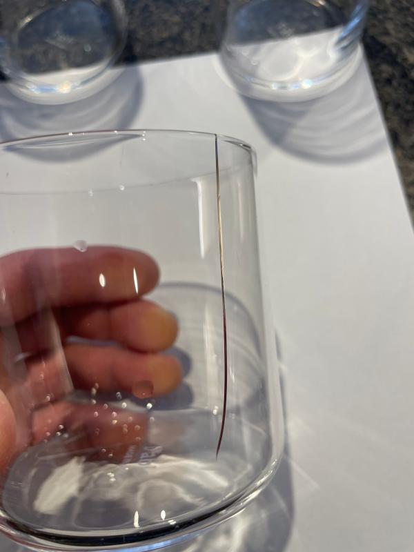 LONG TERM REVIEW - Stylish . . . but not as tough as they say.