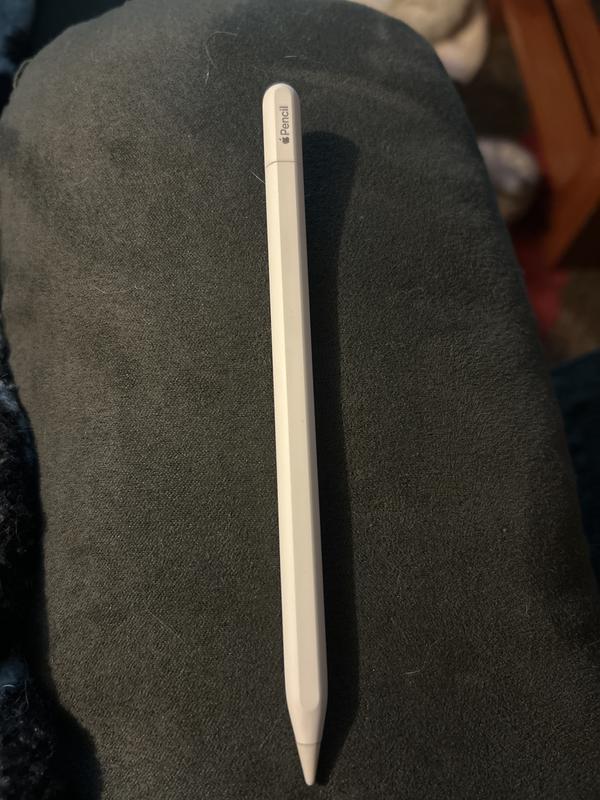 APPLE Pencil Usb-C Apple | Falabella Chile