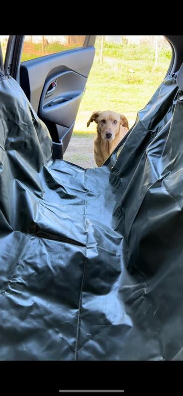 Funda de asiento trasero para perro de camuflaje Protector de -  España