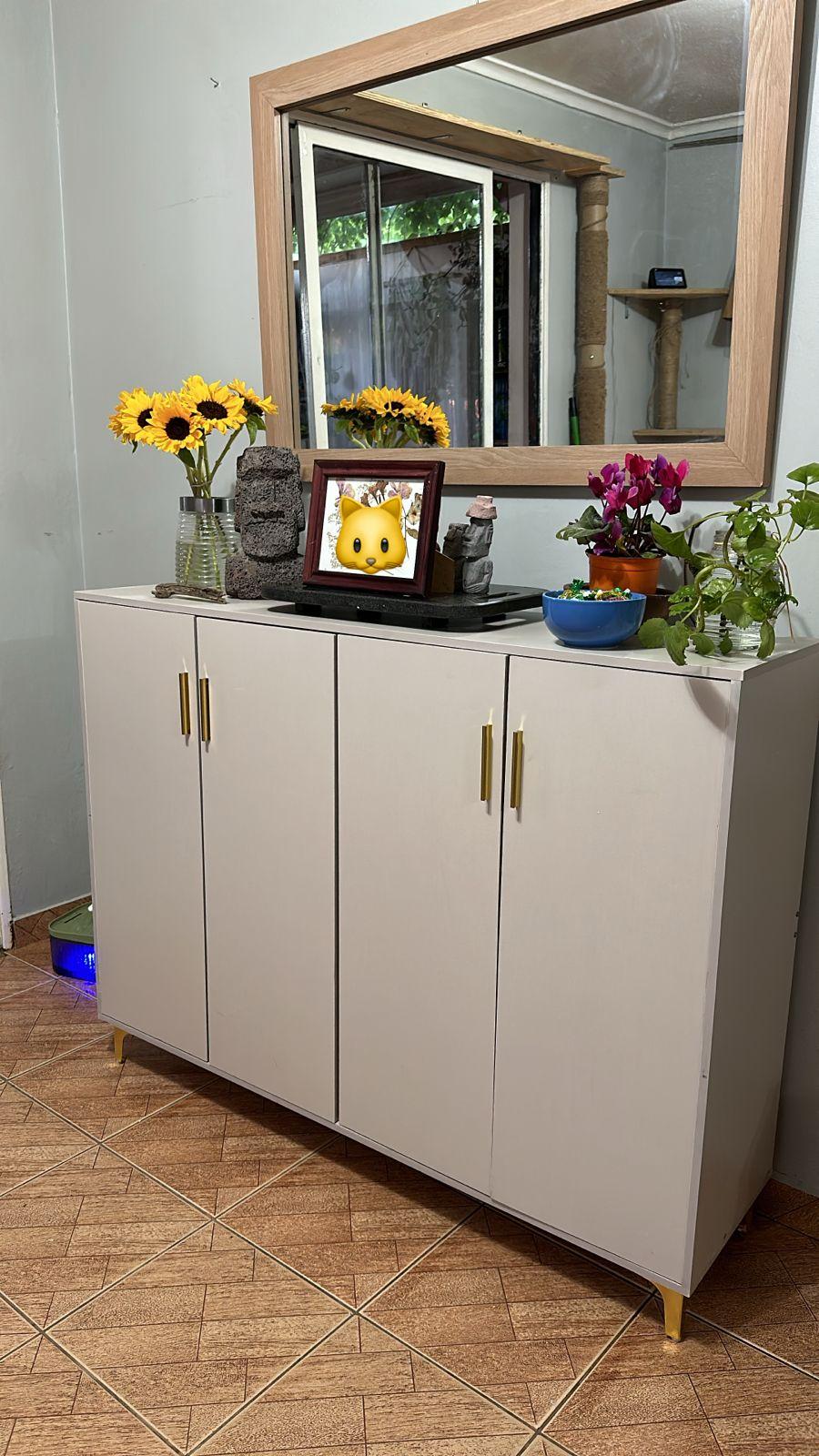 Foto de un cliente: Comoda Hall Zapatero Multifuncional Europeo 120*32*92