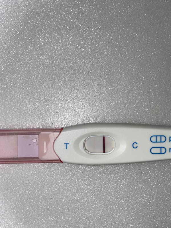 Family Wellness Early Result Pregnancy Test Family Dollar