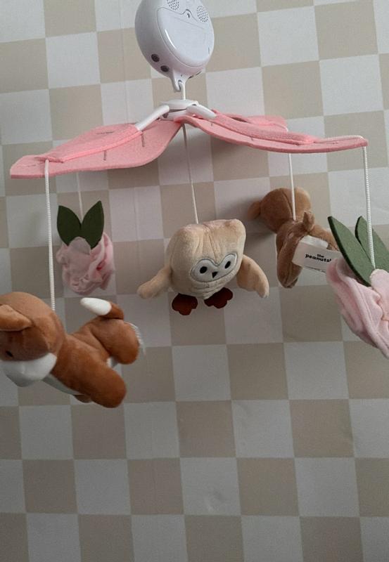 Customer carousel item 6.