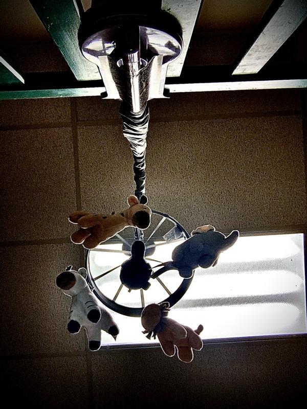 Customer carousel item 6.