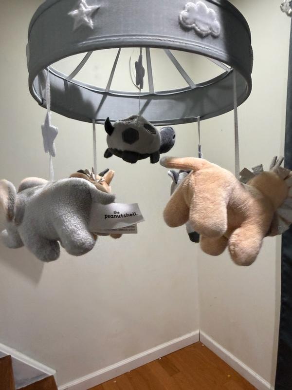 Customer carousel item 11.