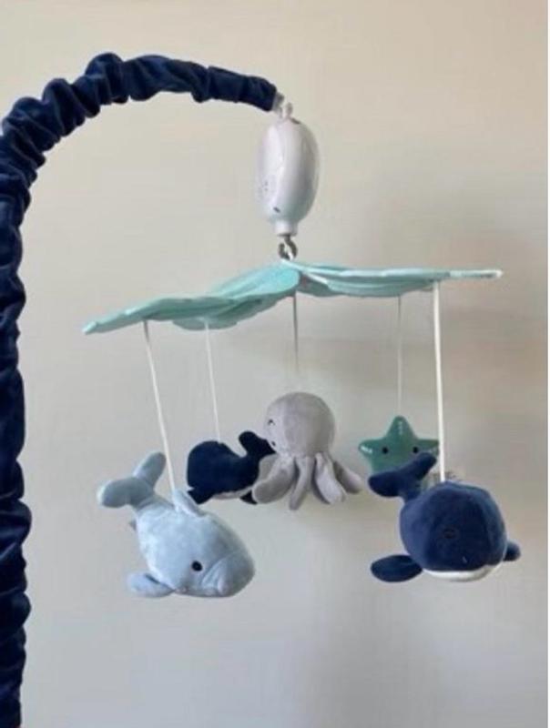 Customer carousel item 7.