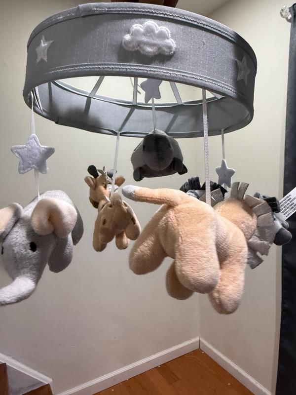 Customer carousel item 12.
