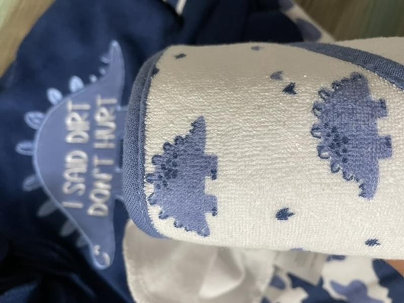 Can you spot the Dino?